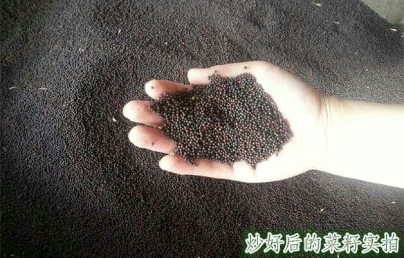 菜油一级