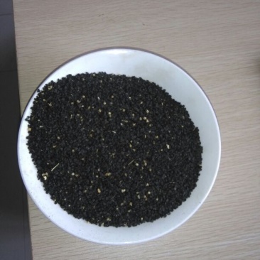 紫皮洋葱种子85%