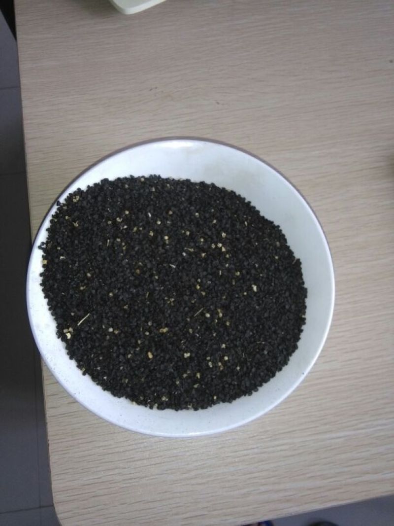 紫皮洋葱种子85%