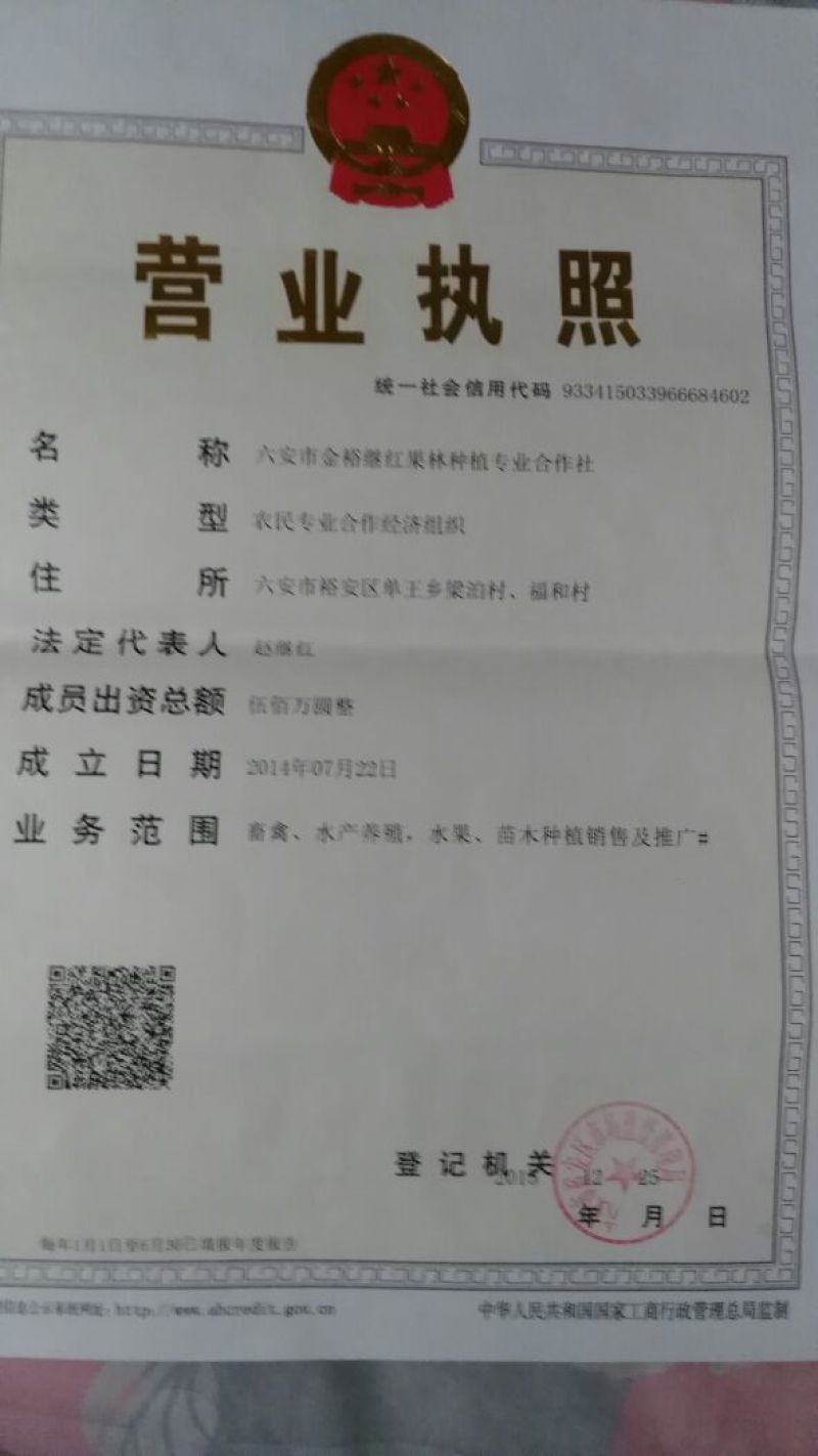 晚秋黄梨600g以上纸箱