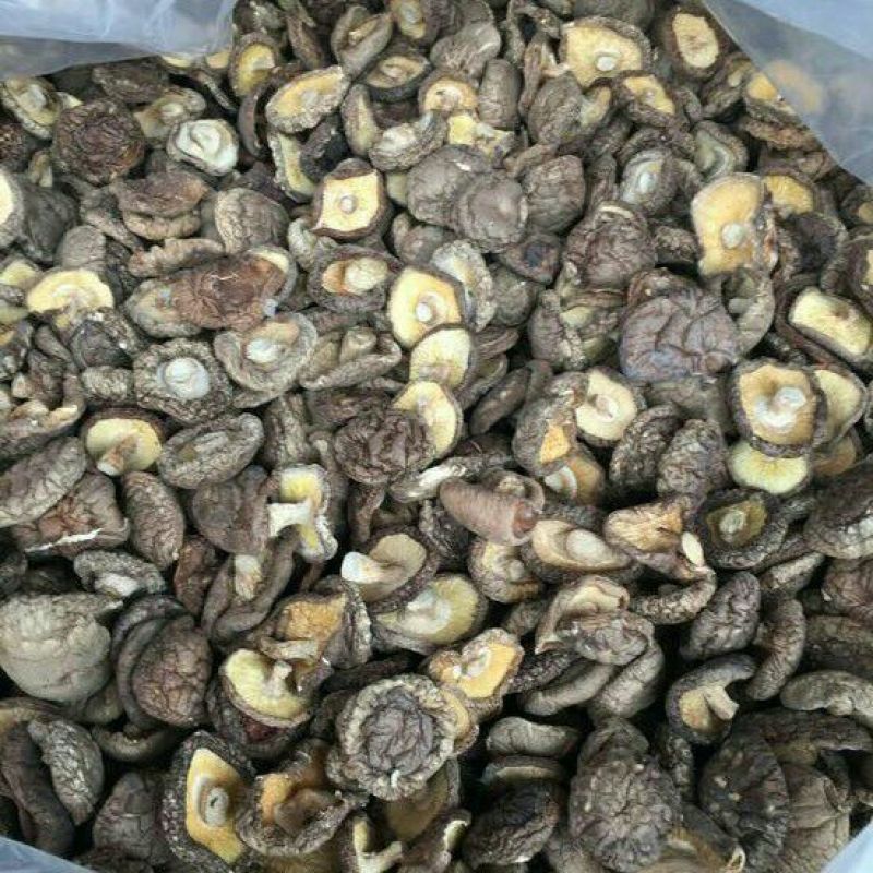 808香菇3cm以上