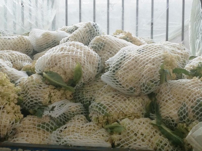 菜花1斤适中乳白