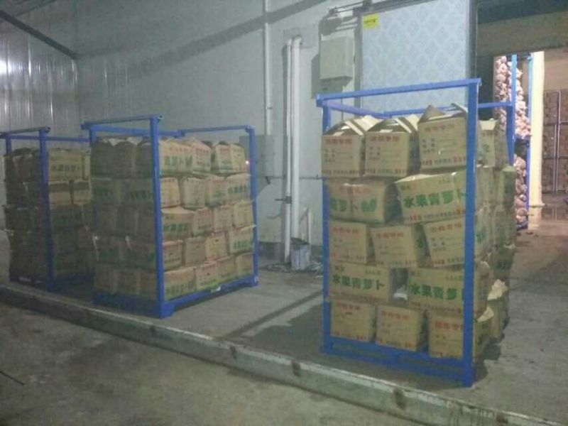 里外绿水果萝卜，春秋季种植，库存供货。滕州