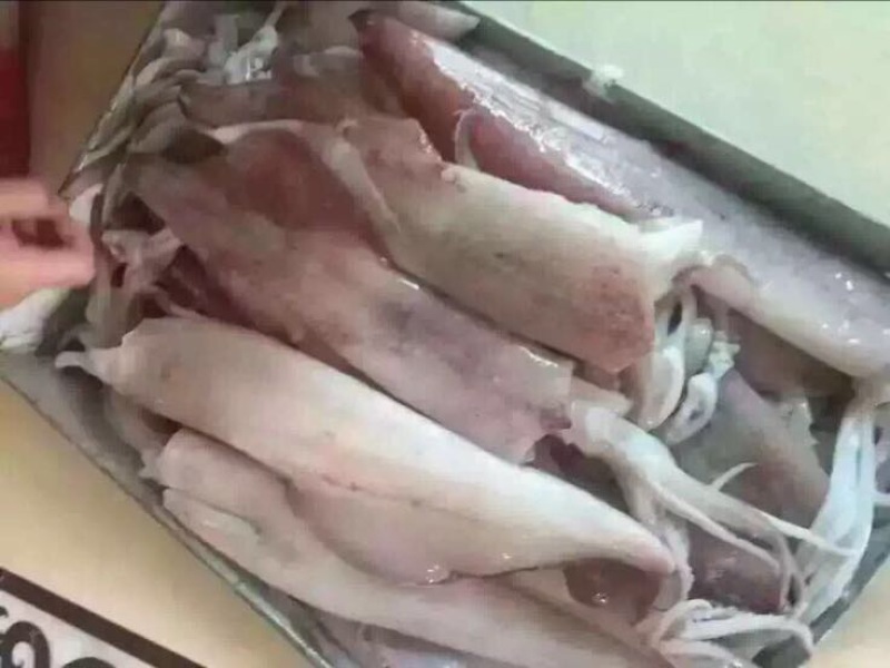 鱿鱼干