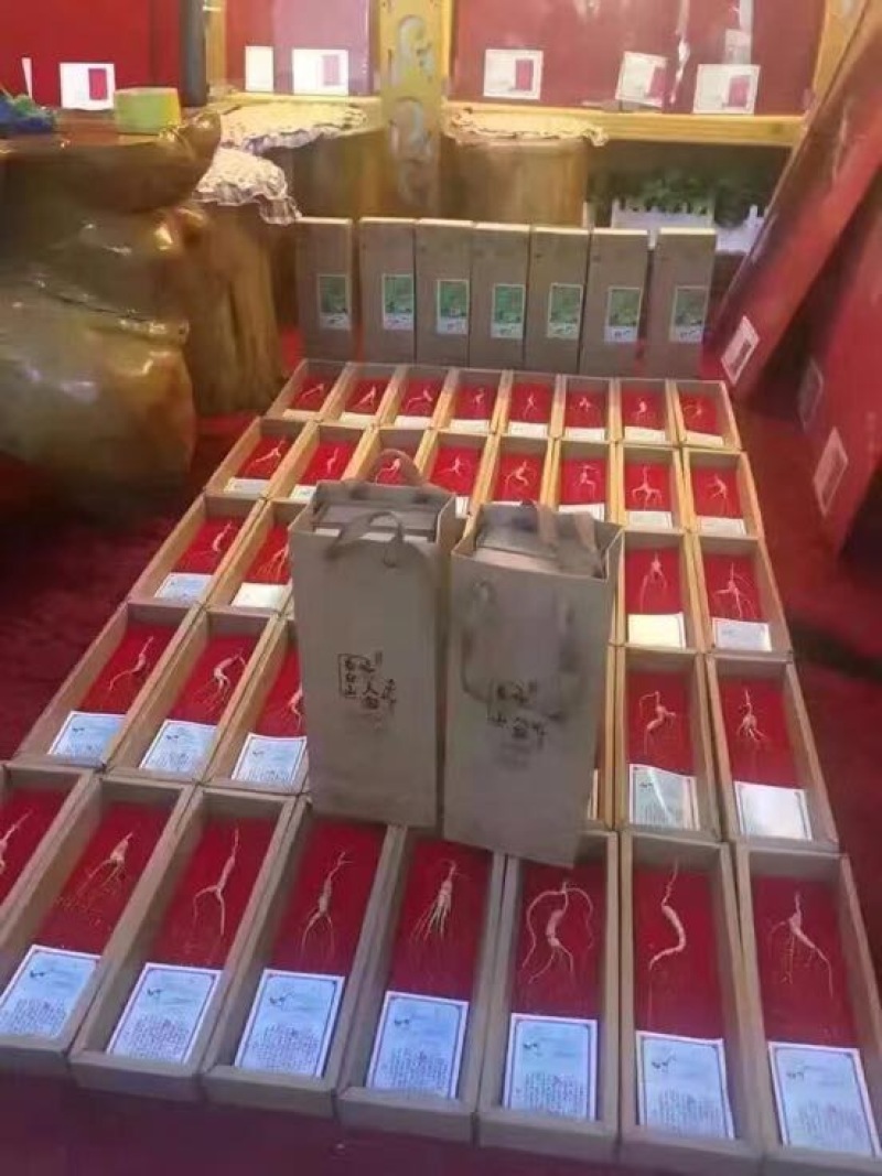 林下参