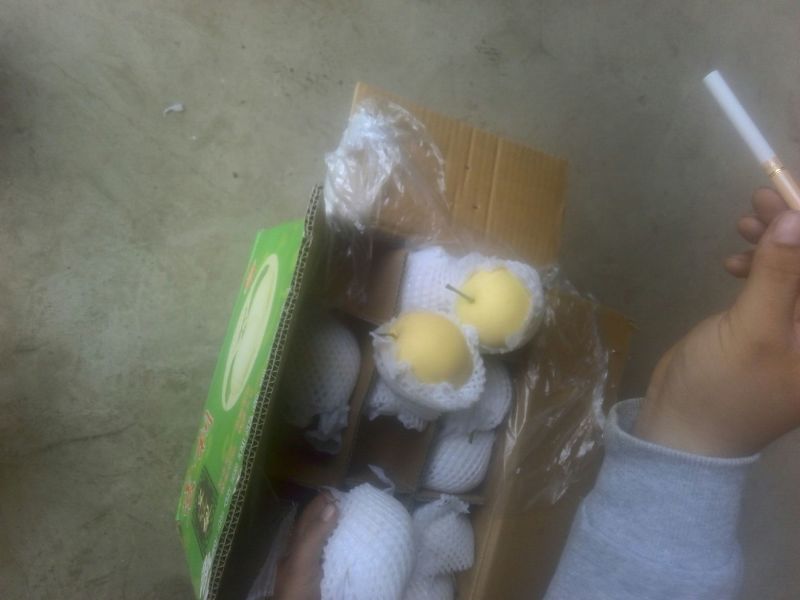 皇冠梨300~350g纸箱
