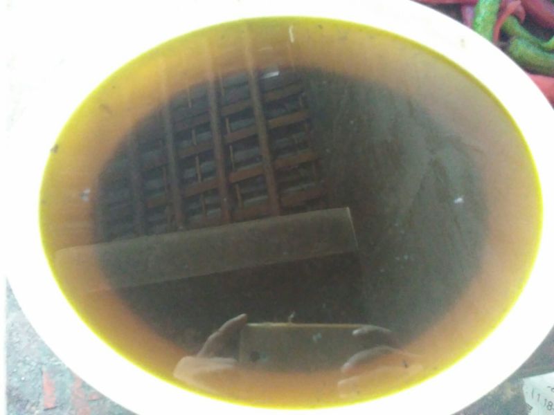 压榨菜籽油一级