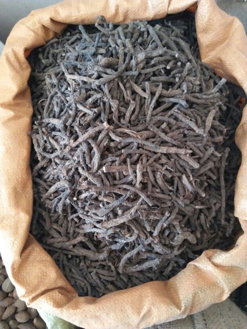 仙茅