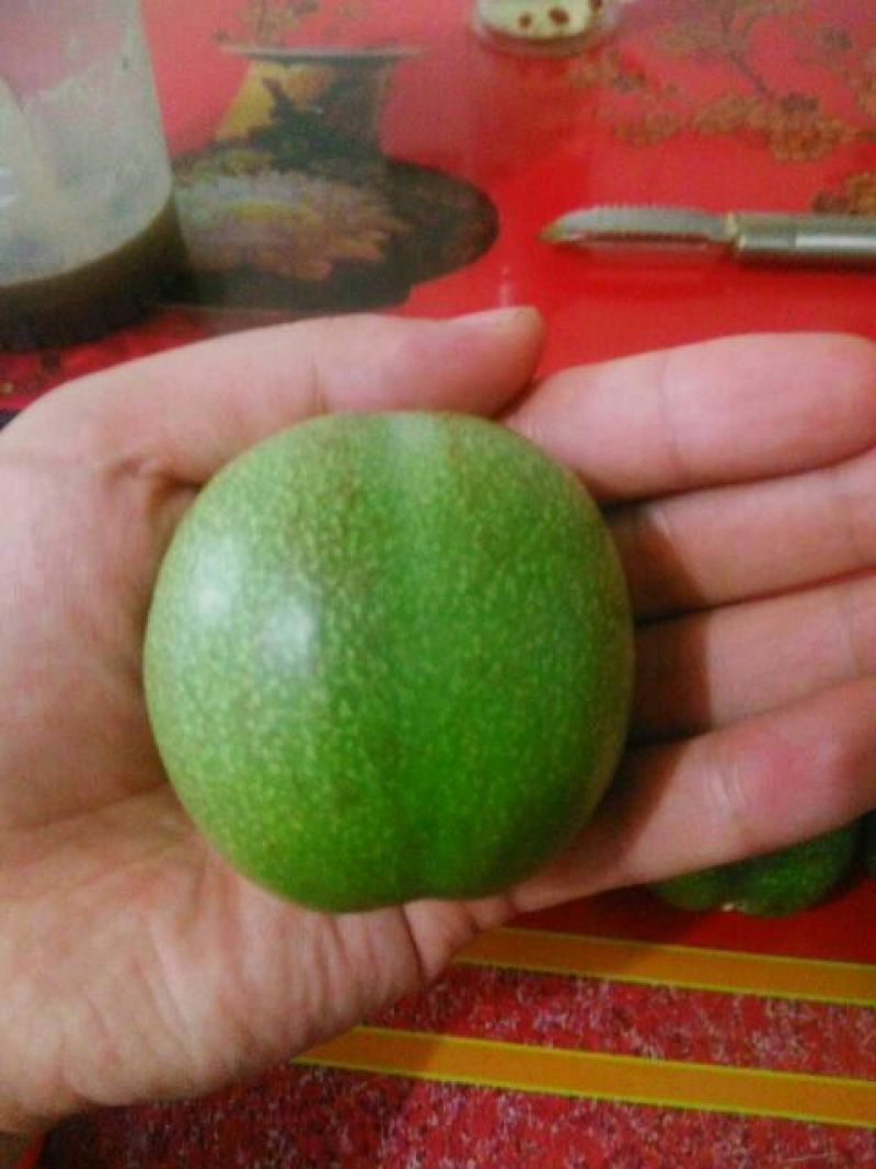 青皮核桃青皮