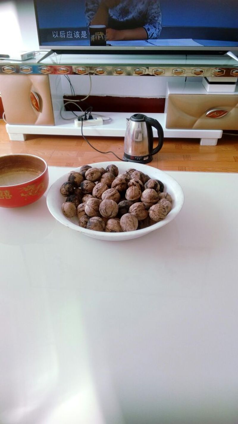 青皮核桃青皮湿