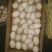 绿壳鸡蛋食用50g以下