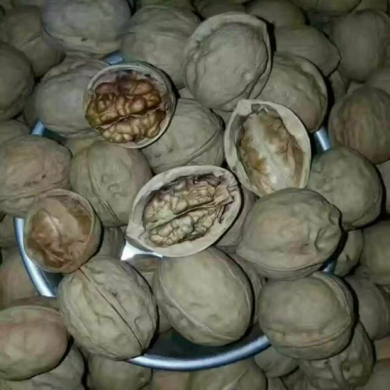 薄皮核桃30mm以上去皮干