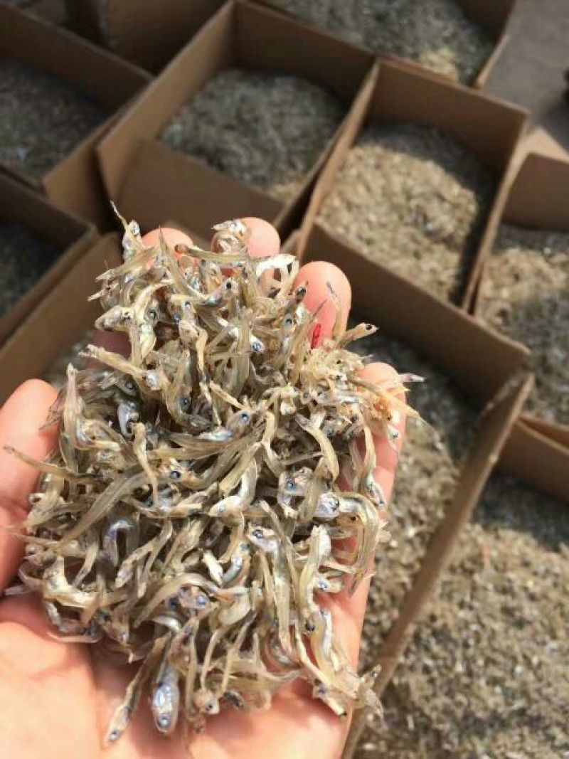 银鱼干