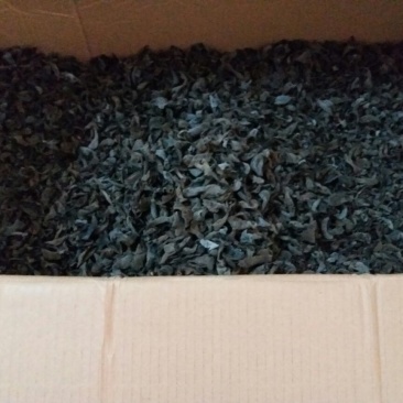 干木耳一级