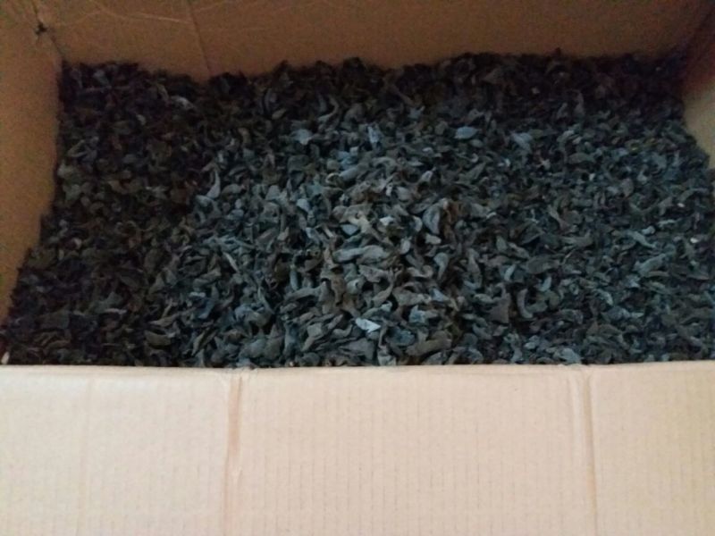 干木耳一级