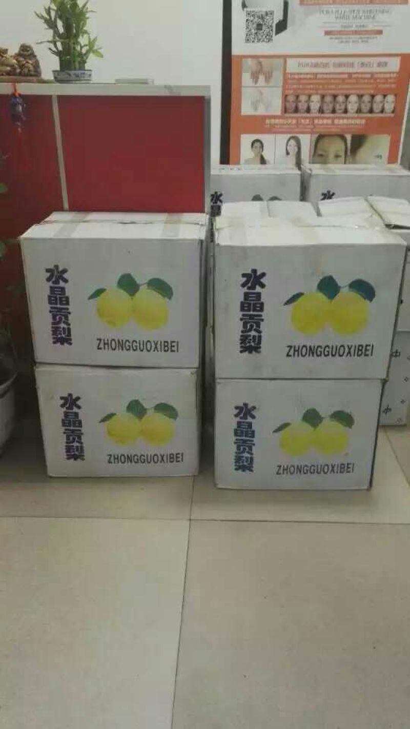 酥梨60~100g纸袋