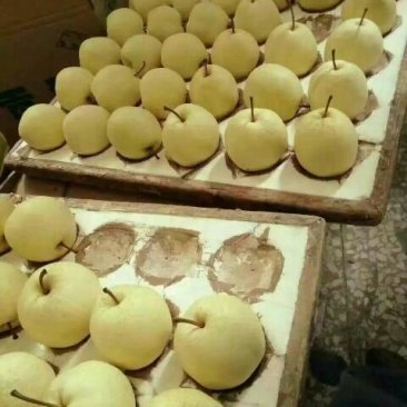 酥梨纸箱350~400g