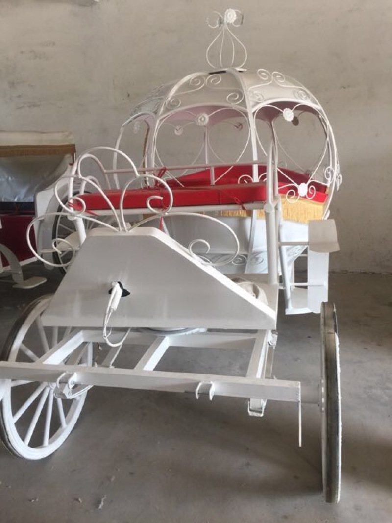 半血马400~500kg