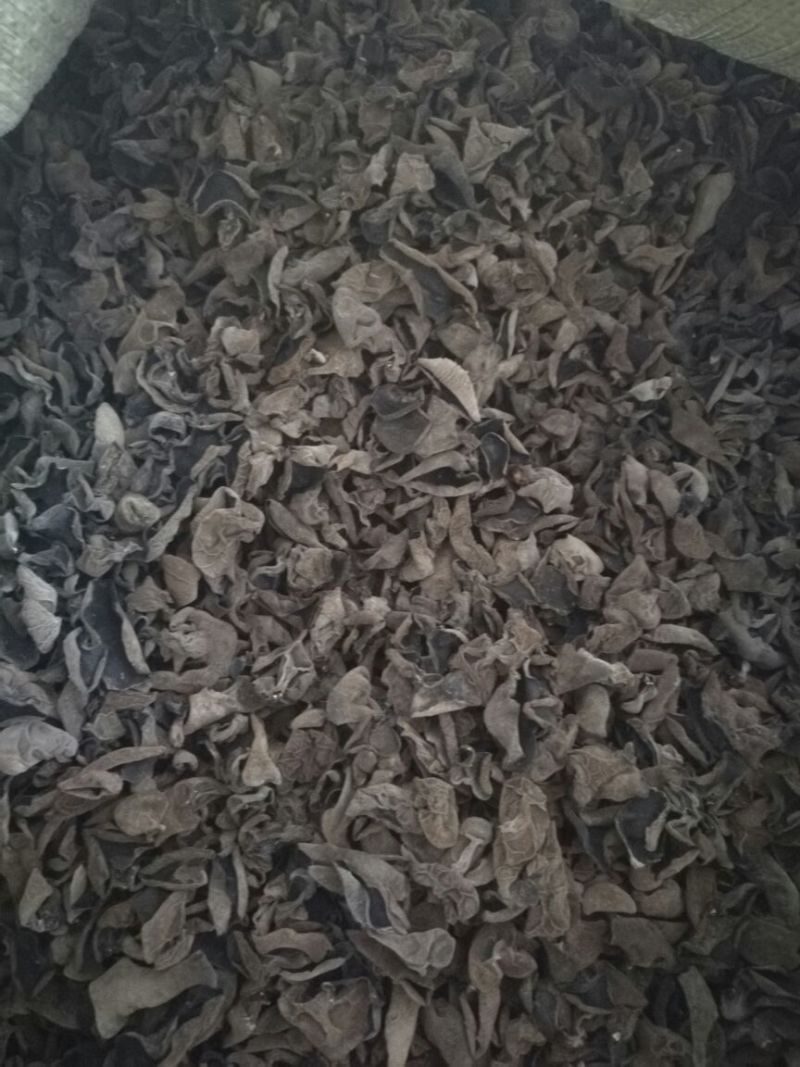 干木耳一级