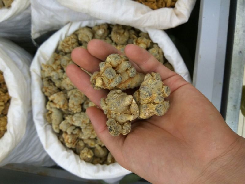 三七大全各种规格新货各种药材