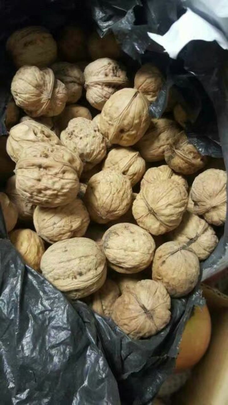 薄皮核桃去皮干
