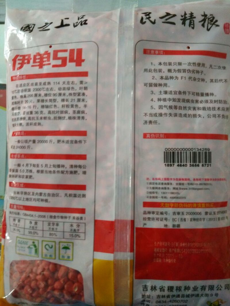玉米种子