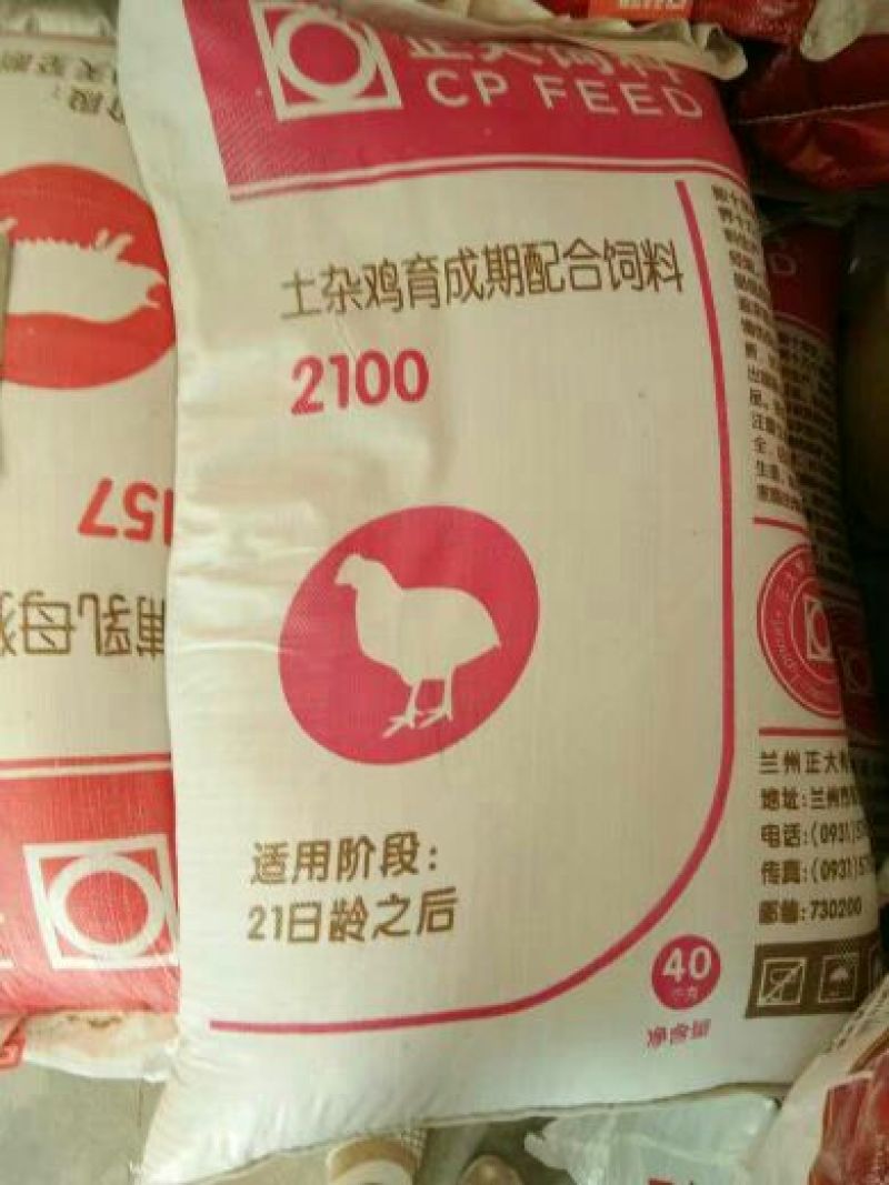 猪饲料3个月