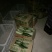 甜瓜，羊角酥，羊角蜜，口感好，色泽好，入口酥甜脆，