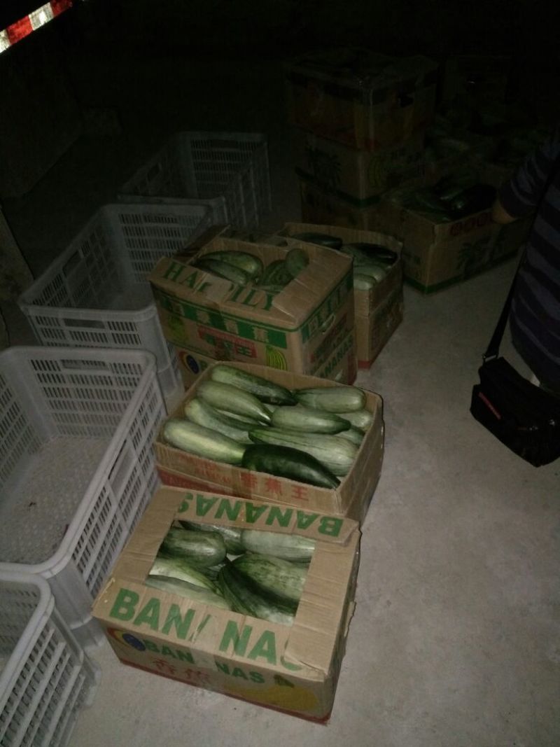 甜瓜，羊角酥，羊角蜜，口感好，色泽好，入口酥甜脆，