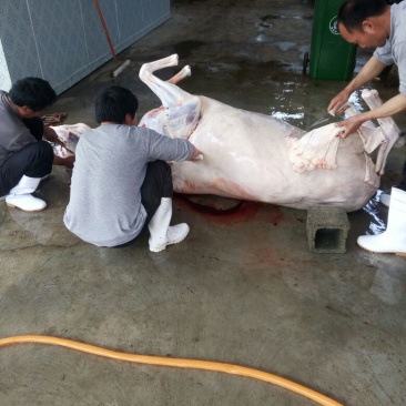 驴肉