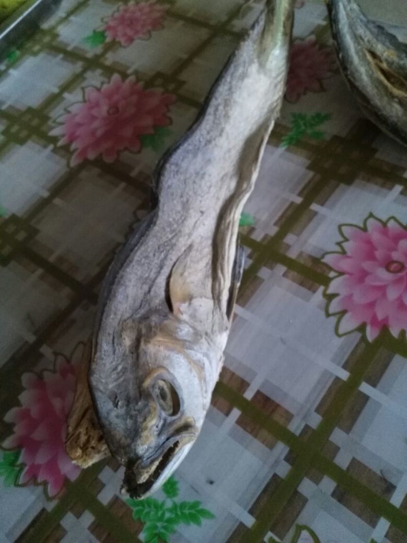 虾皮一级
