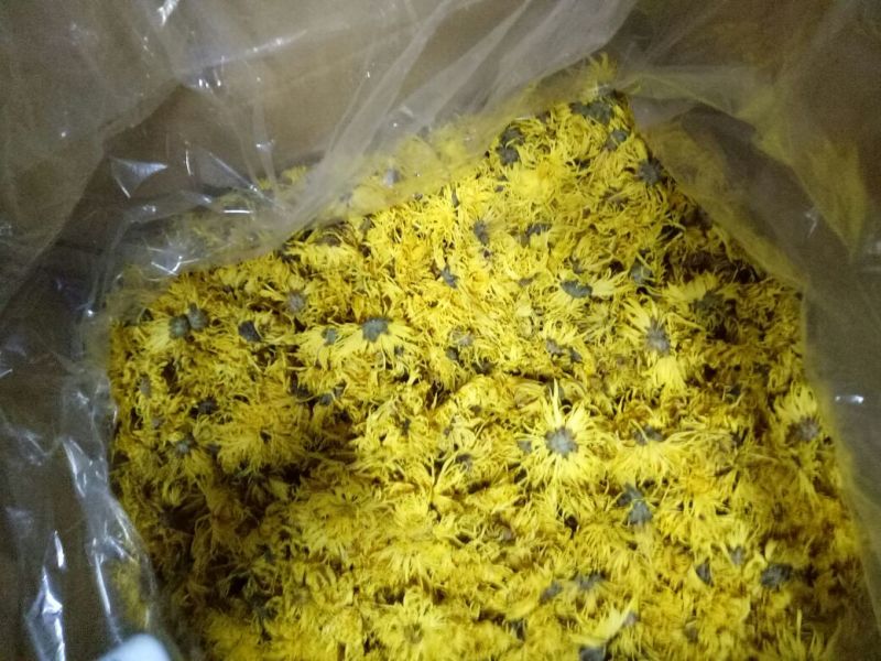 菊花茶