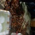 扇贝食用鲜活10~20只/kg
