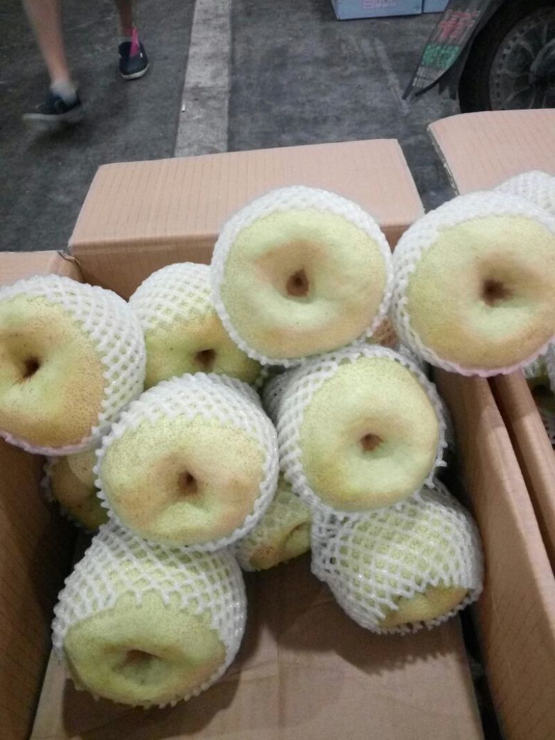 砀山梨350~400g膜袋
