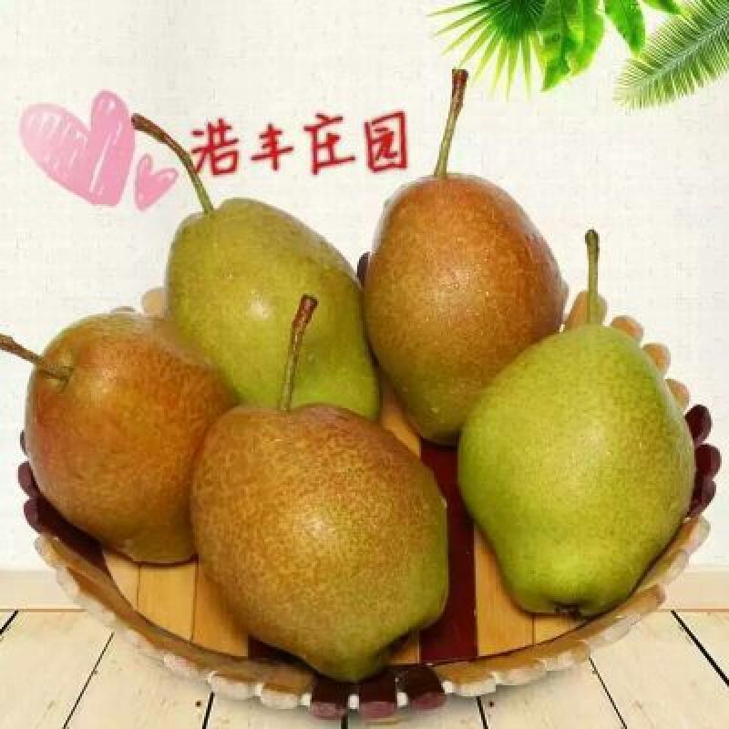 红香酥梨纸袋