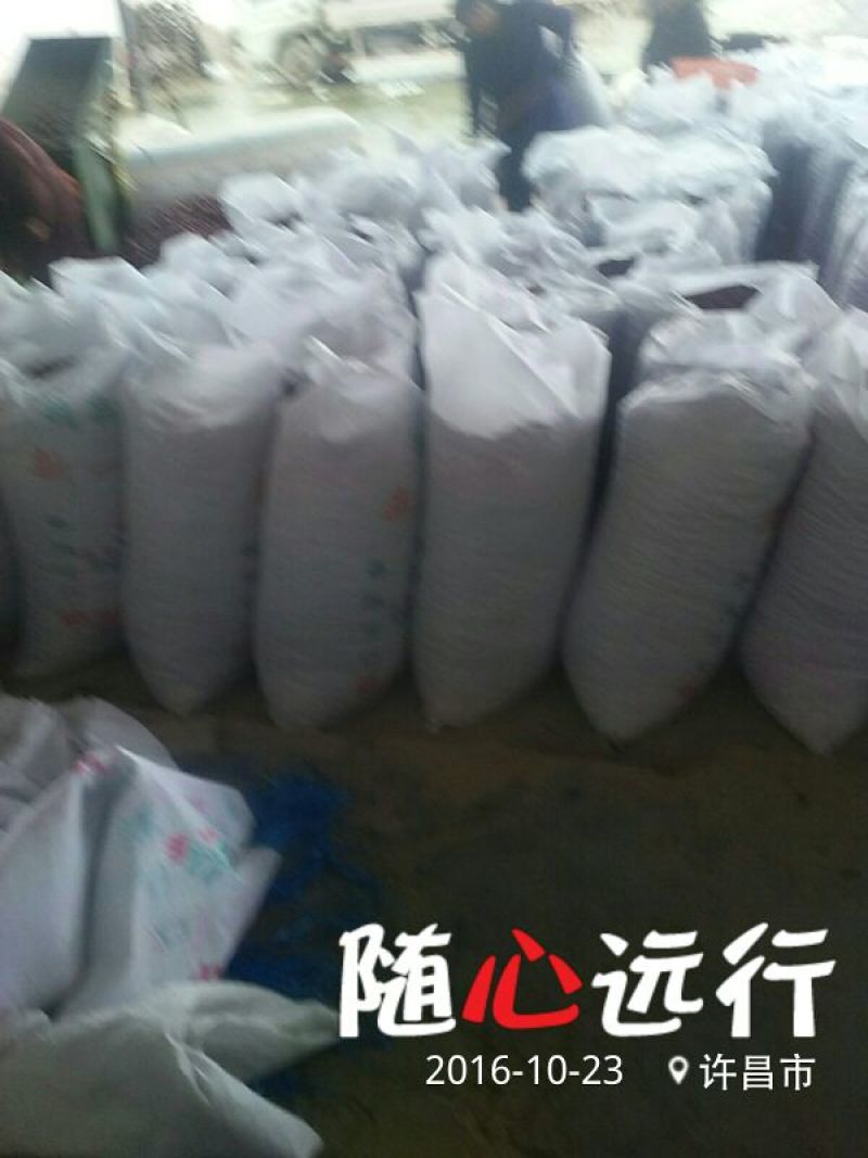 子弹头干辣椒精品9成干以上