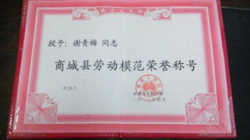 南方红豆杉，景观结果大树！