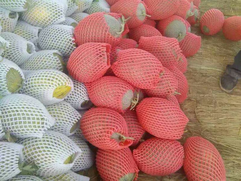 西州蜜瓜