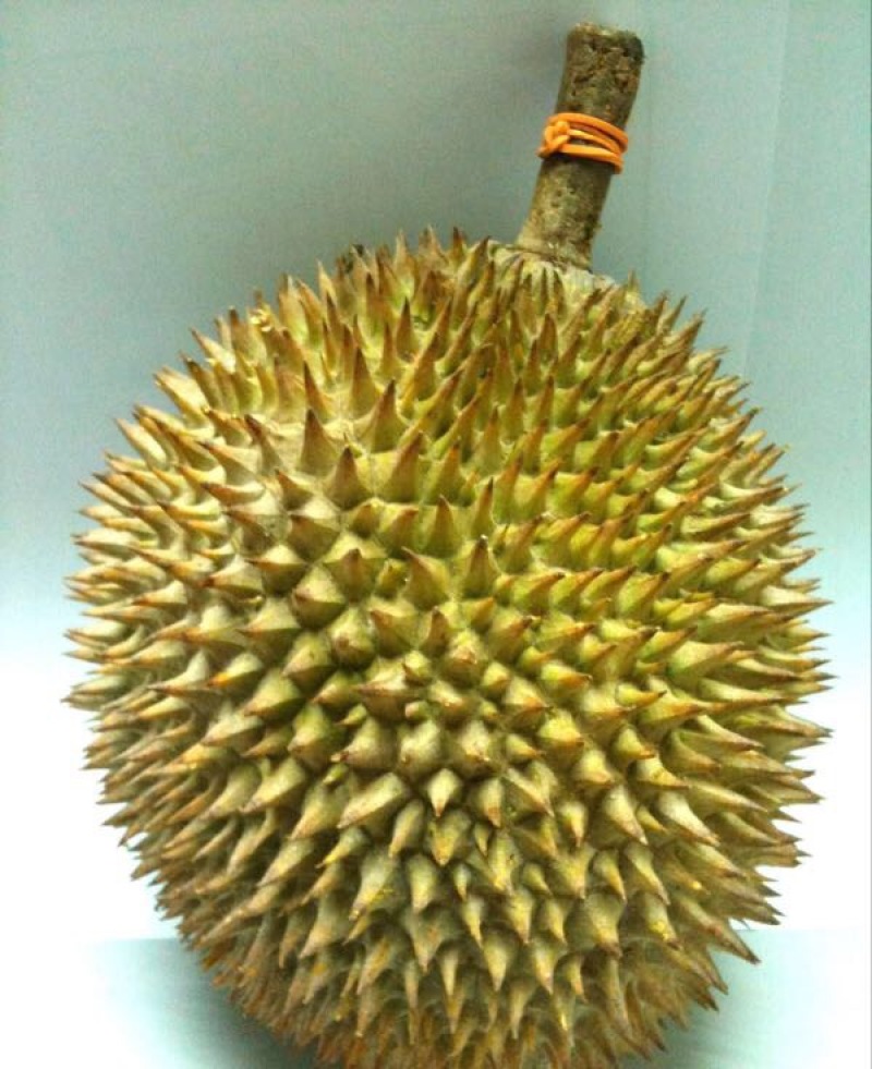 榴莲