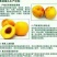 黄桃罐头