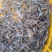 河虾活虾26~30只/kg