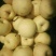 砀山梨200~250g纸袋