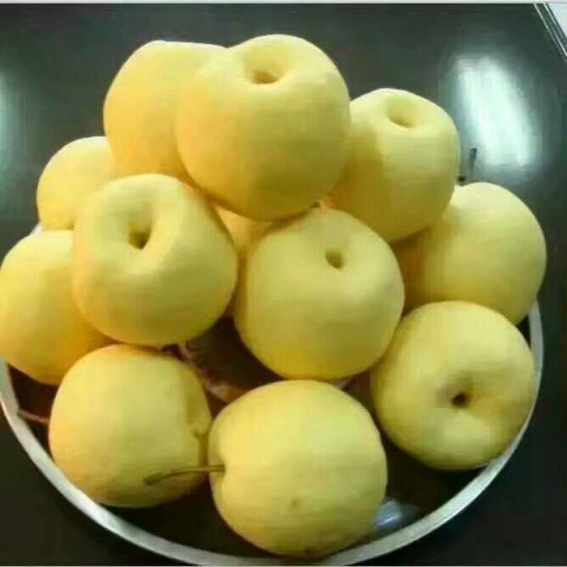 贡梨200~250g纸袋