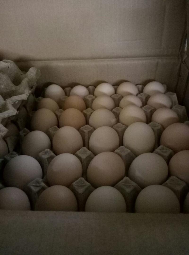普通鸡蛋食用50~60g