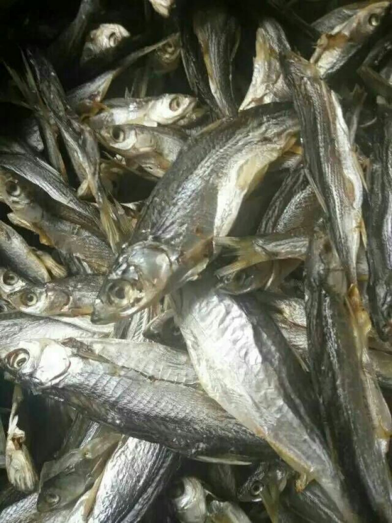 河汊小干鱼