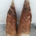 毛竹春笋15~20cm20~25cm25~30cm