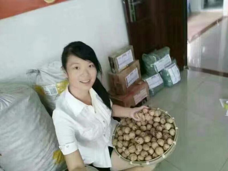 核桃去皮干