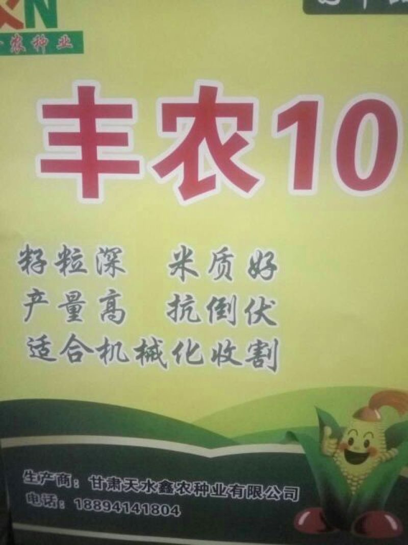 玉米种子97%