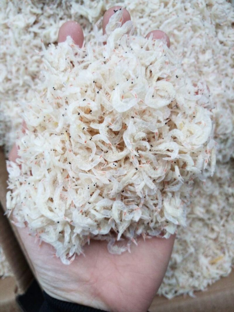 山东省渤海湾无盐淡干虾皮现货速发新鲜一级