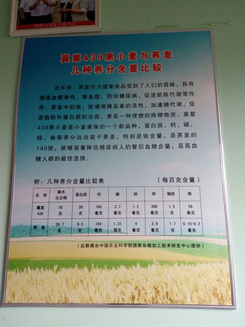 黑小麦面粉袋装